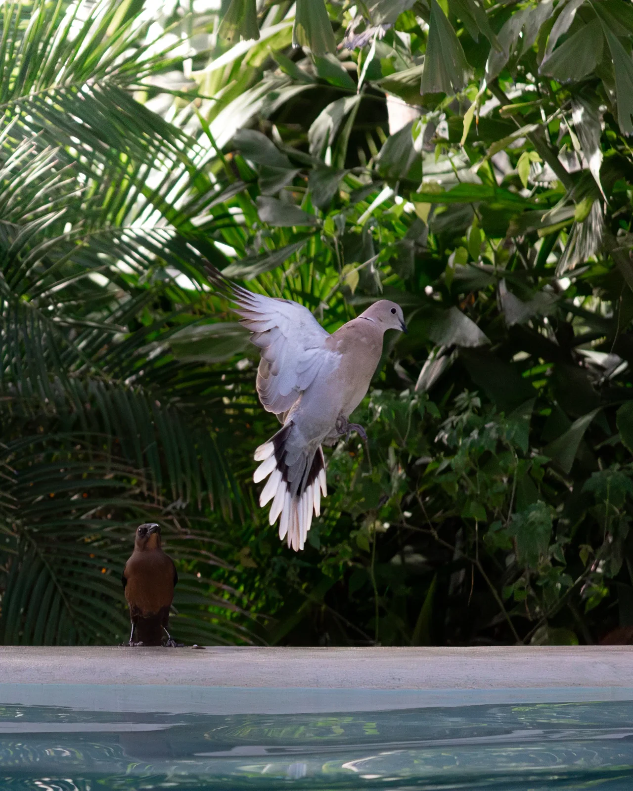 nature photography by JRMGraphy